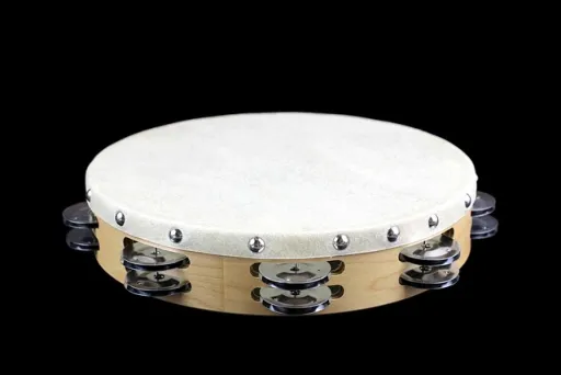 Wie heißt das auf dem Foto abgebildete Instrument?